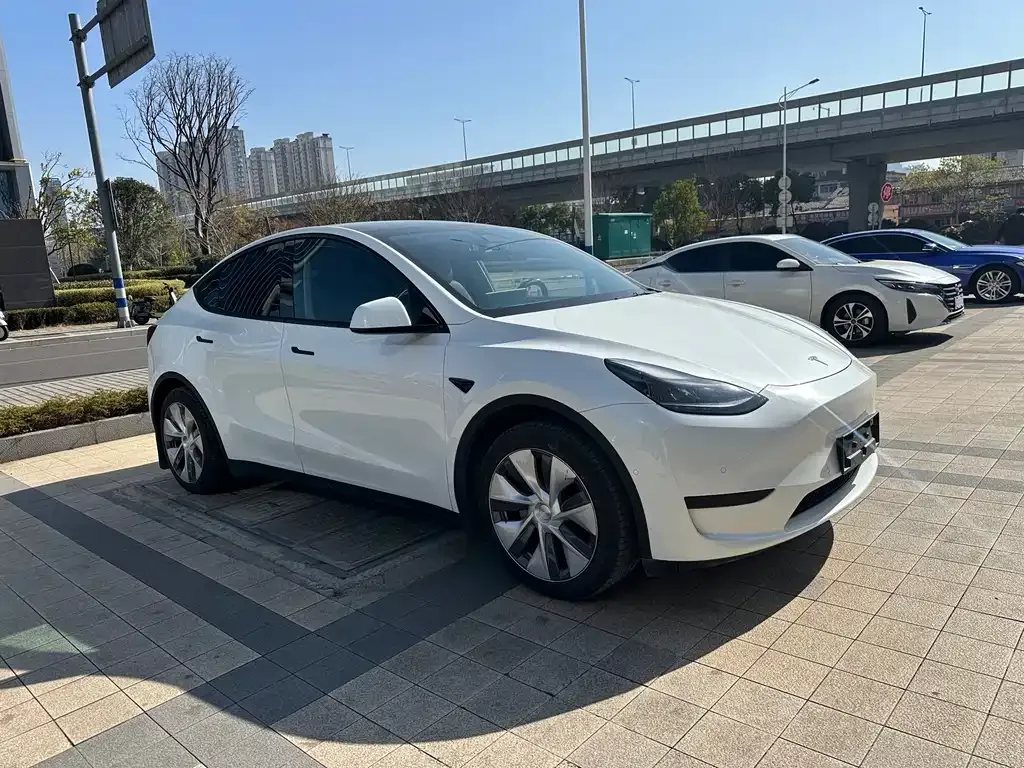 Tesla Model Y 2023 из CN, фото 2