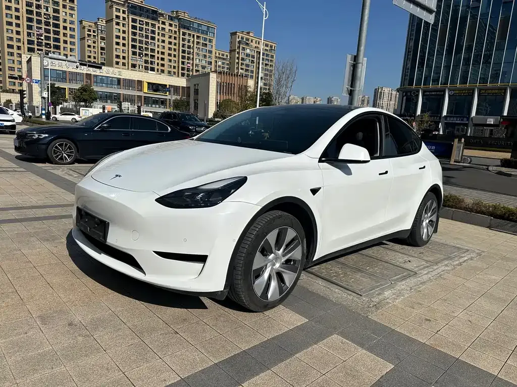 Tesla Model Y 2023 из CN, фото 3