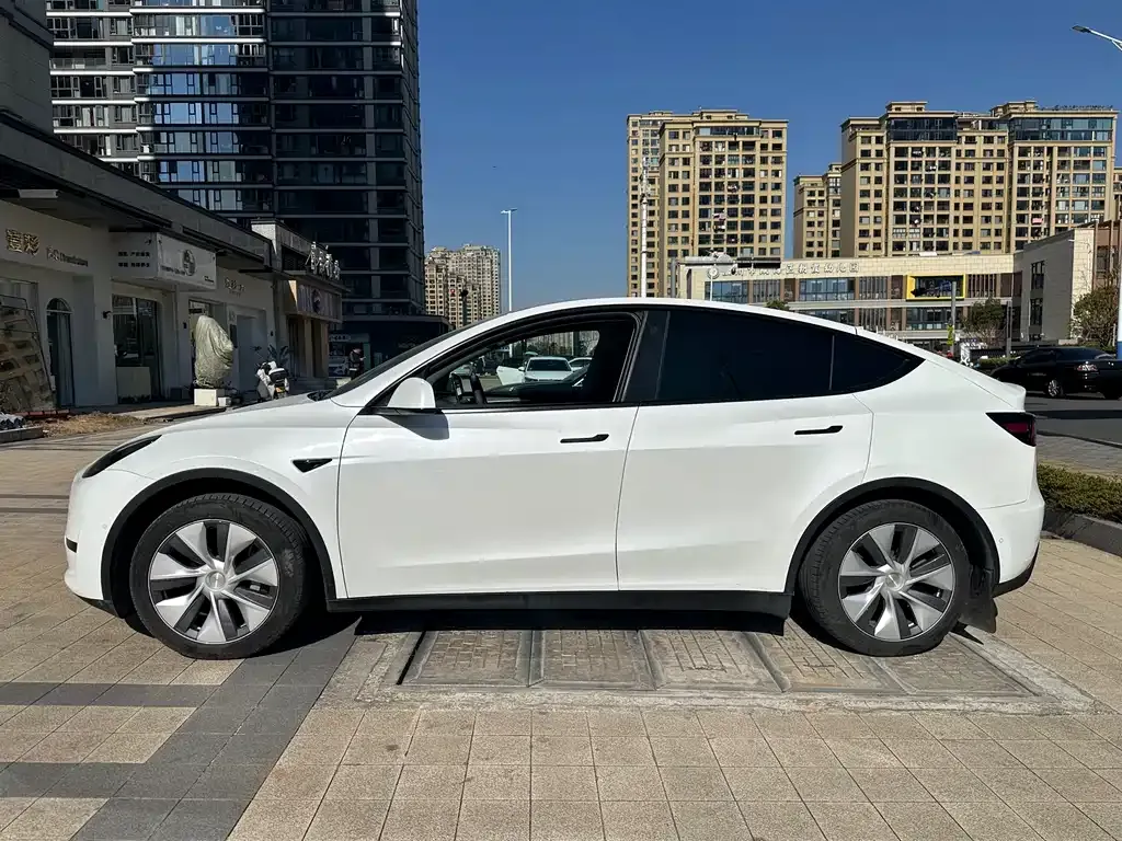 Tesla Model Y 2023 из CN, фото 10