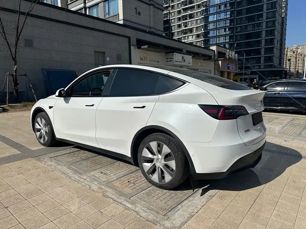 Tesla Model Y 2023 из CN, фото 7