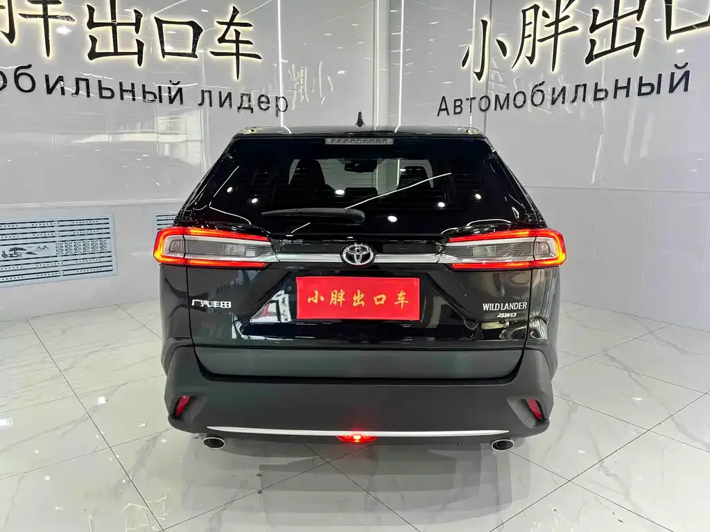 Toyota Wildlander 2021 из CN, фото 7