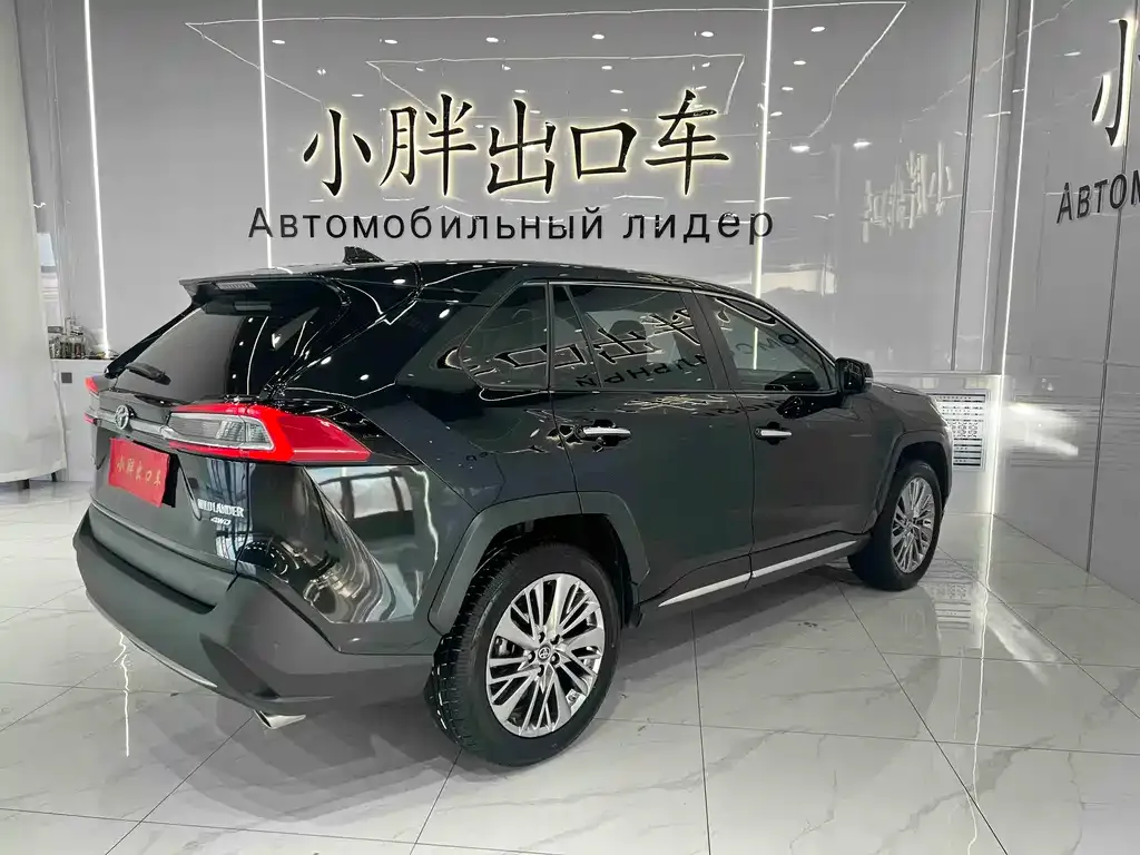 Toyota Wildlander 2021 из CN, фото 10