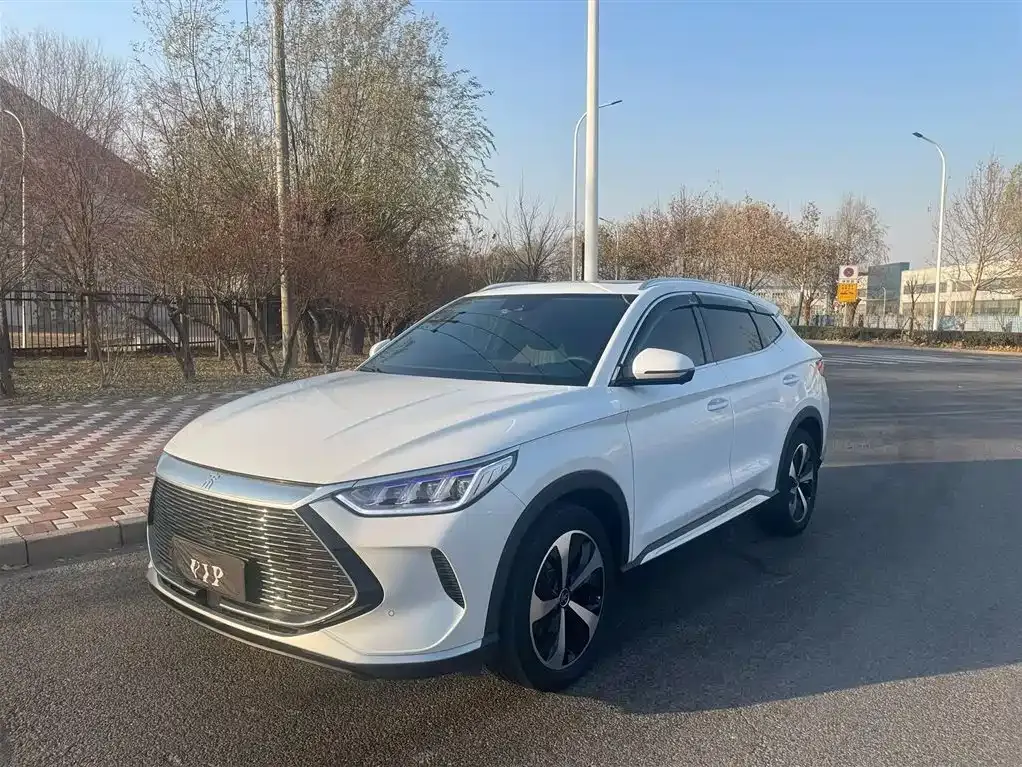 BYD PLUS New Energy 2022 из CN, фото 1