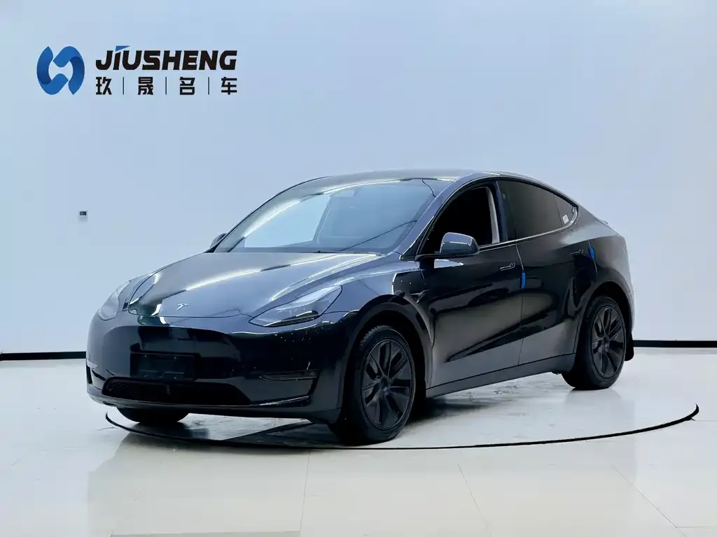 Tesla Model Y 2024 из CN, фото 1