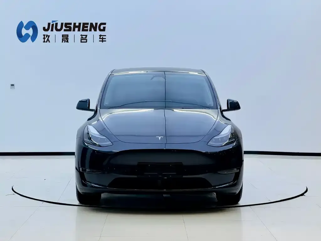 Tesla Model Y 2024 из CN, фото 2