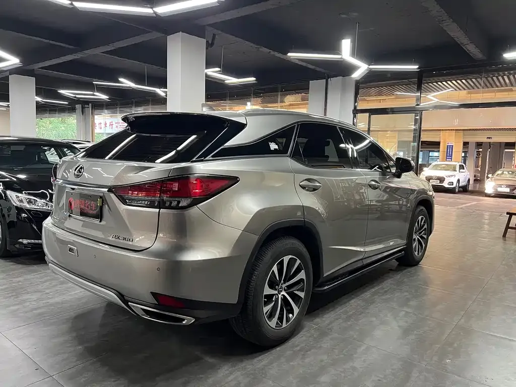 Lexus RX 2022 из CN, фото 10