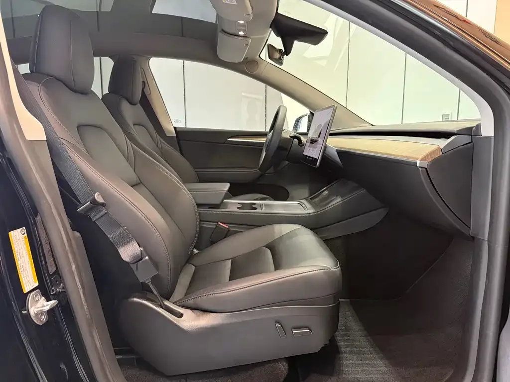 Tesla Model Y 2023 из CN, фото 6