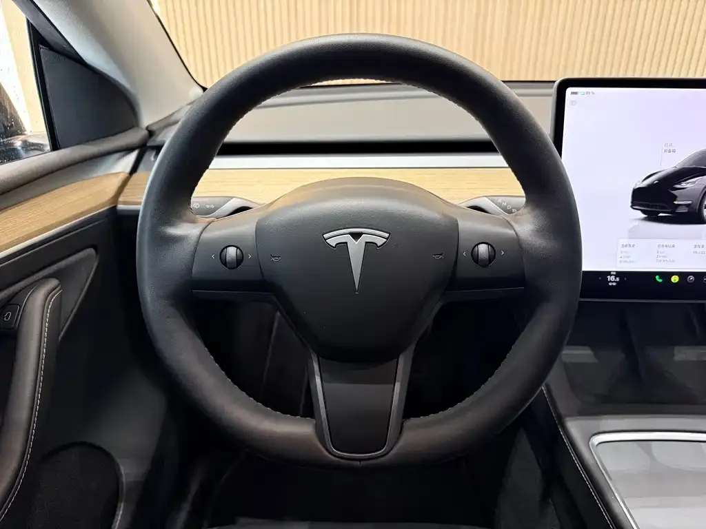 Tesla Model Y 2023 из CN, фото 2