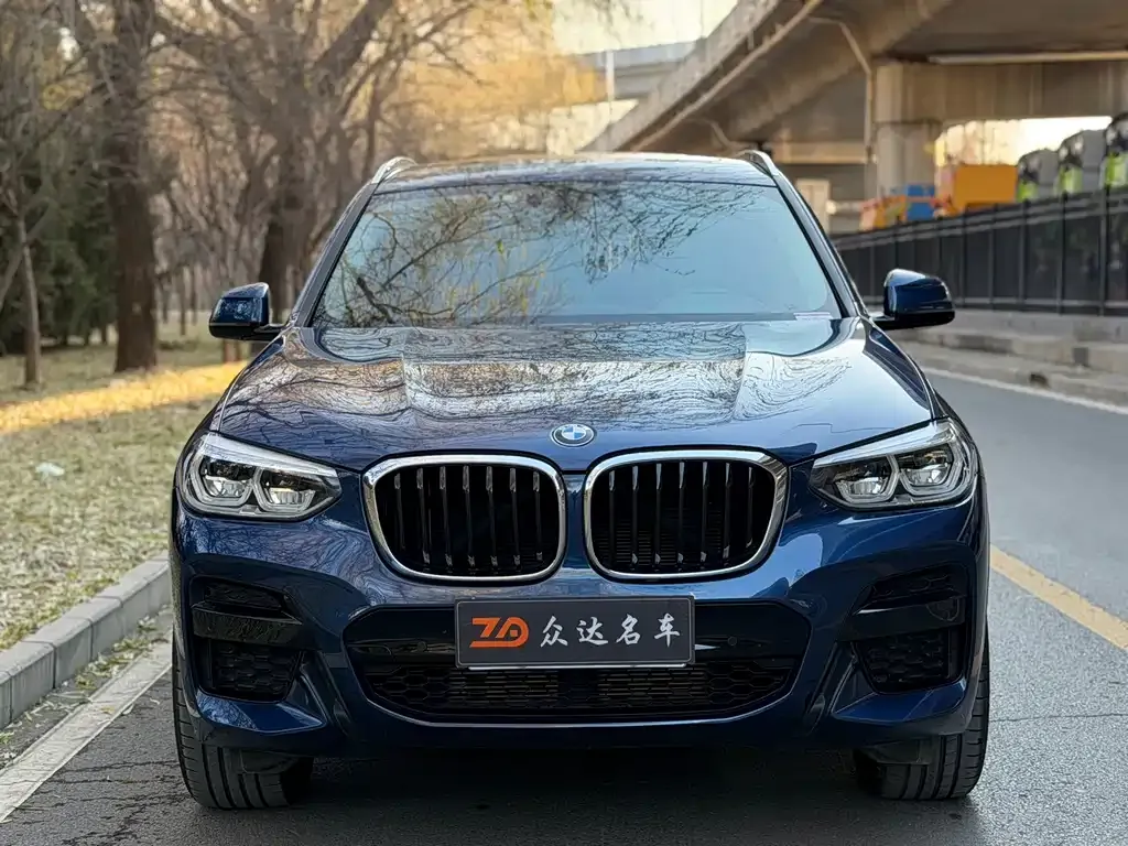 BMW X3 2021 из CN, фото 5