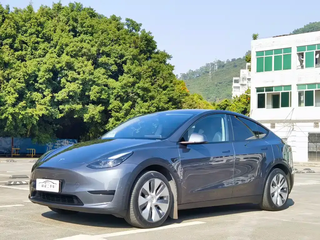 Tesla Model Y 2023 из CN, фото 1