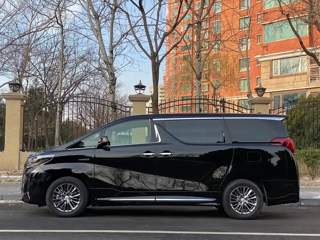 Toyota Alphard 2021 из CN, фото 6