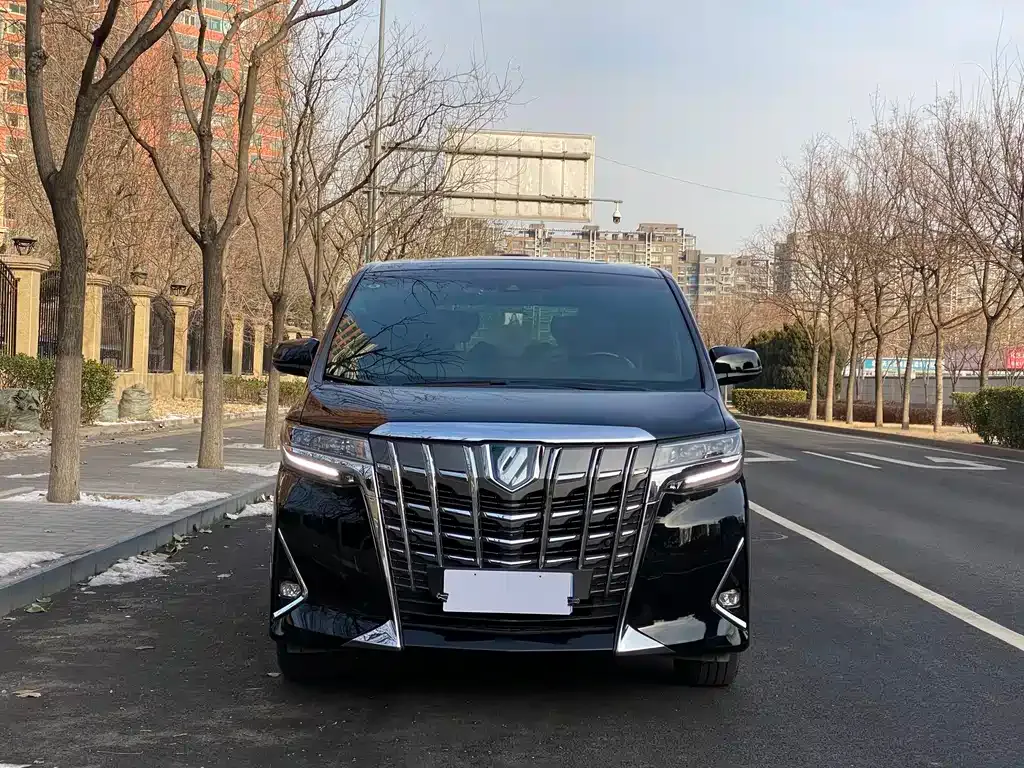 Toyota Alphard 2021 из CN, фото 9