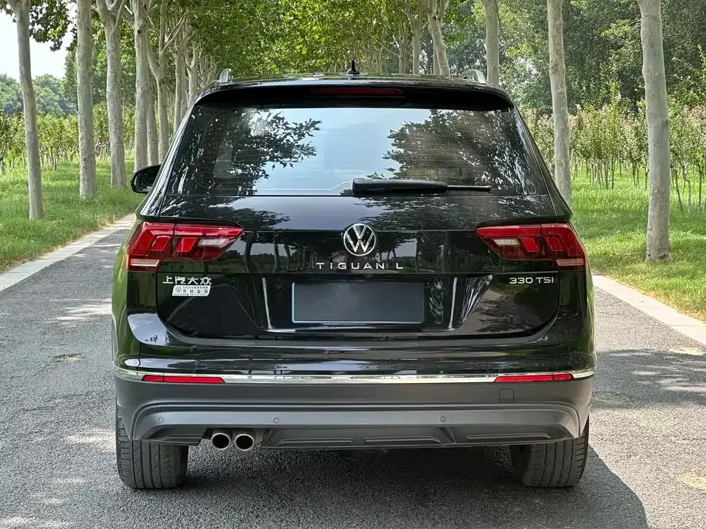 Volkswagen Tiguan L 2021 из CN, фото 5