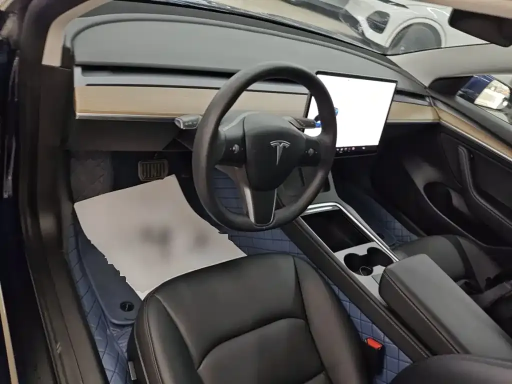 Tesla Model 3 2021 из CN, фото 2