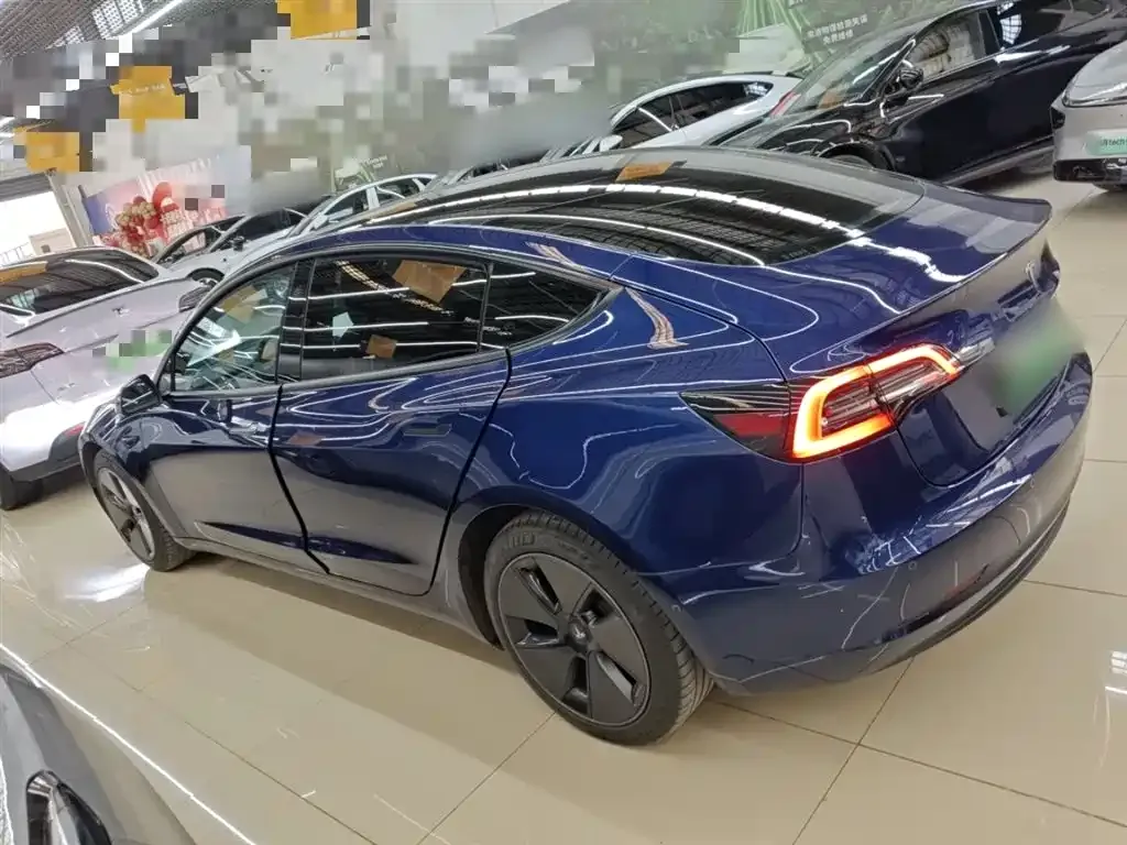 Tesla Model 3 2021 из CN, фото 9