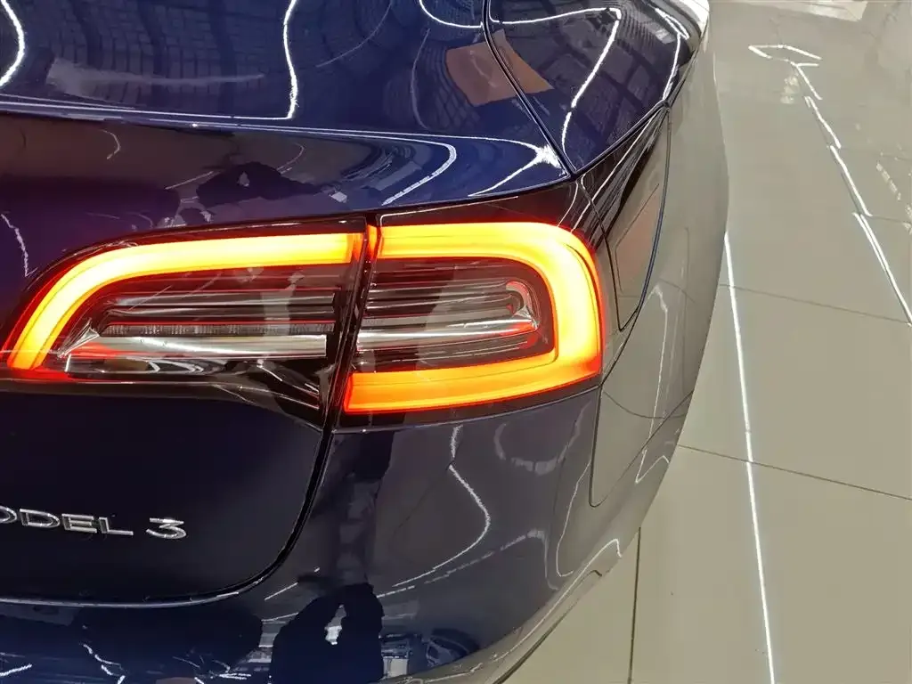 Tesla Model 3 2021 из CN, фото 5