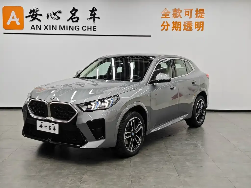 BMW X2 (Import) 2024 из CN, фото 1