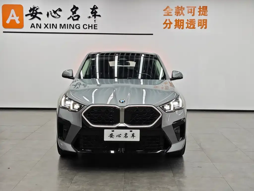 BMW X2 (Import) 2024 из CN, фото 2