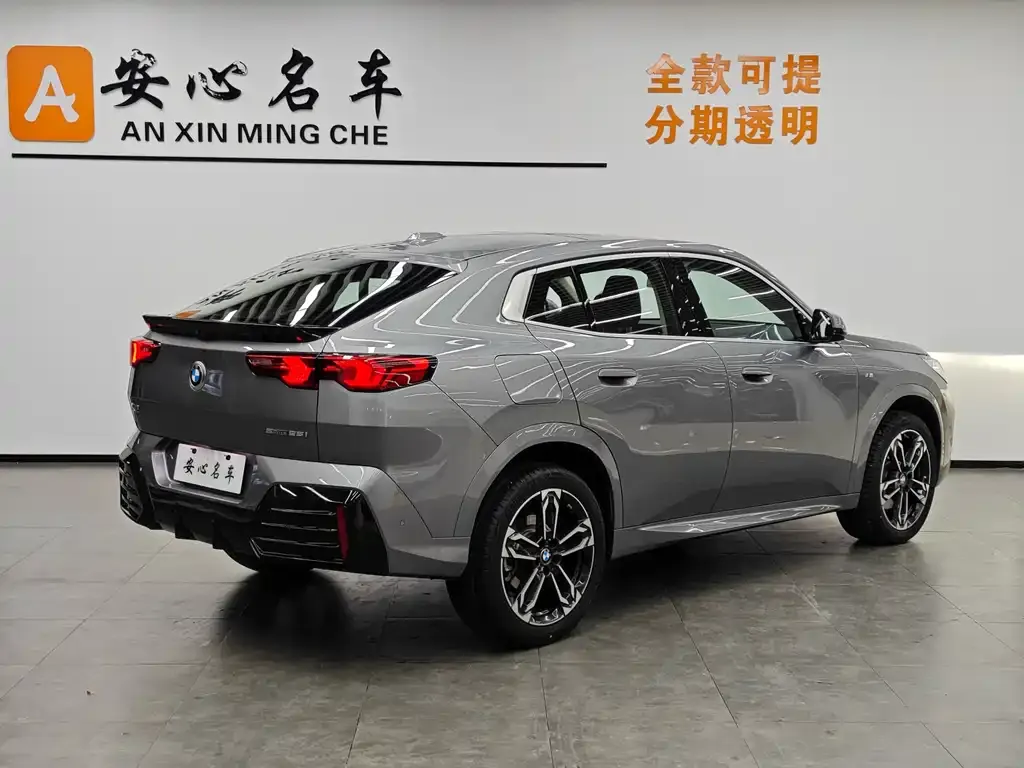 BMW X2 (Import) 2024 из CN, фото 3