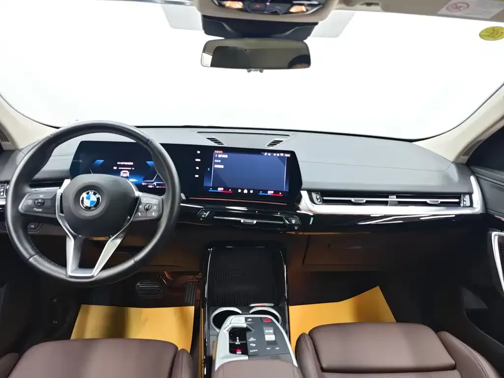 BMW X2 (Import) 2024 из CN, фото 4