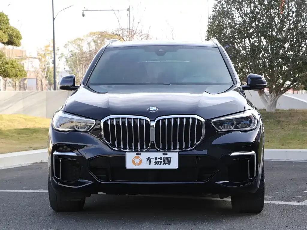 BMW X5 2023 из CN, фото 1