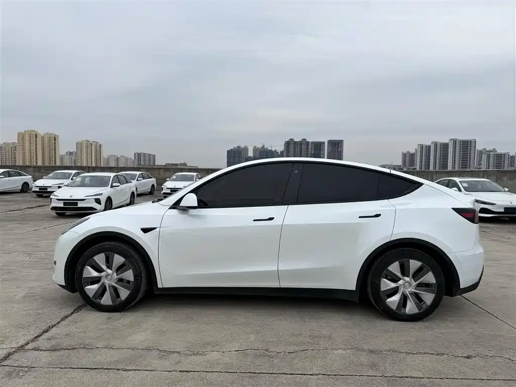Tesla Model Y 2023 из CN, фото 4