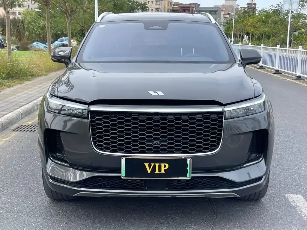 Li Auto ONE 2021 из CN, фото 9