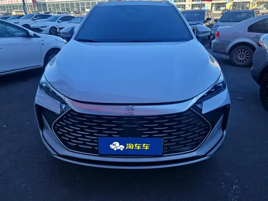 BYD Tang New Energy 2024 из CN, фото 2