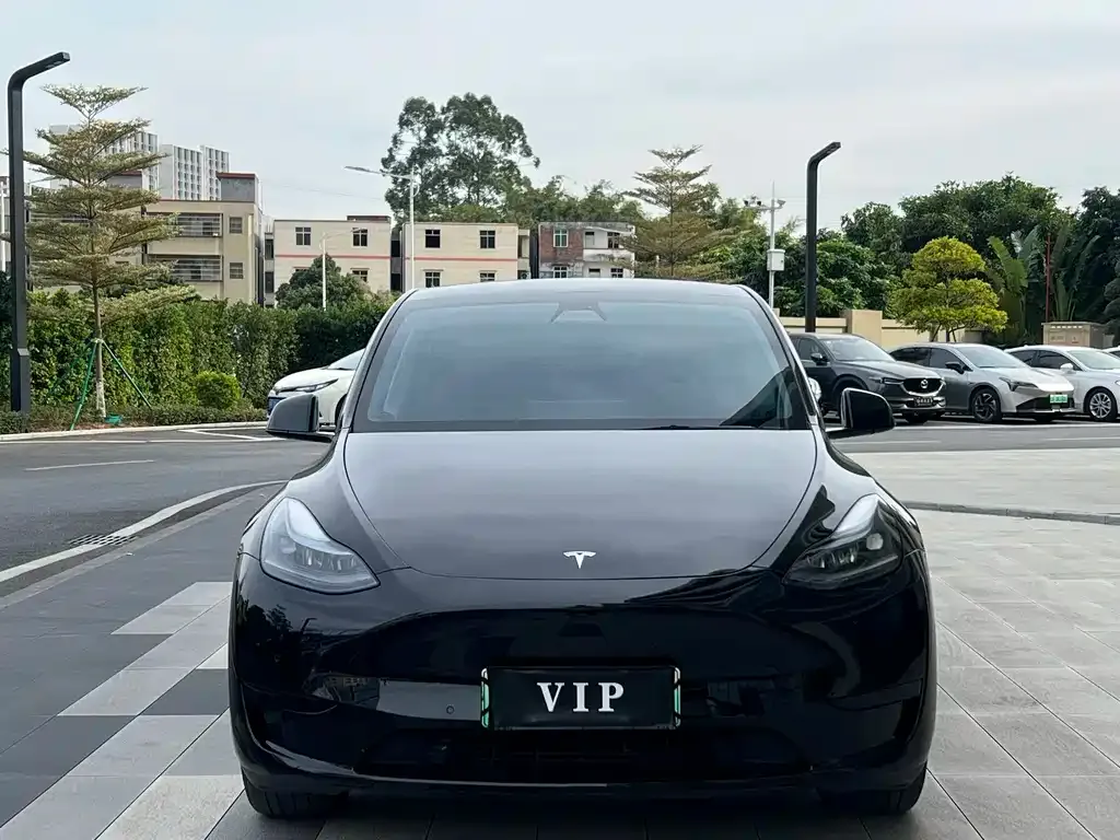 Tesla Model Y — фото 10