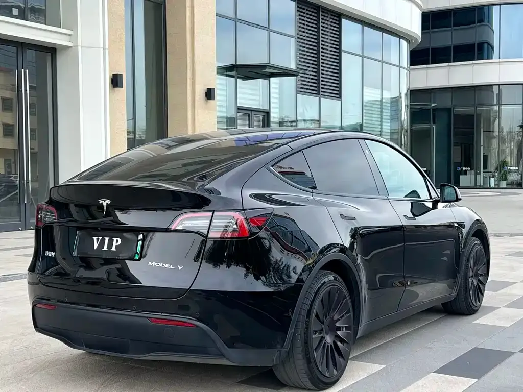 Tesla Model Y — фото 2