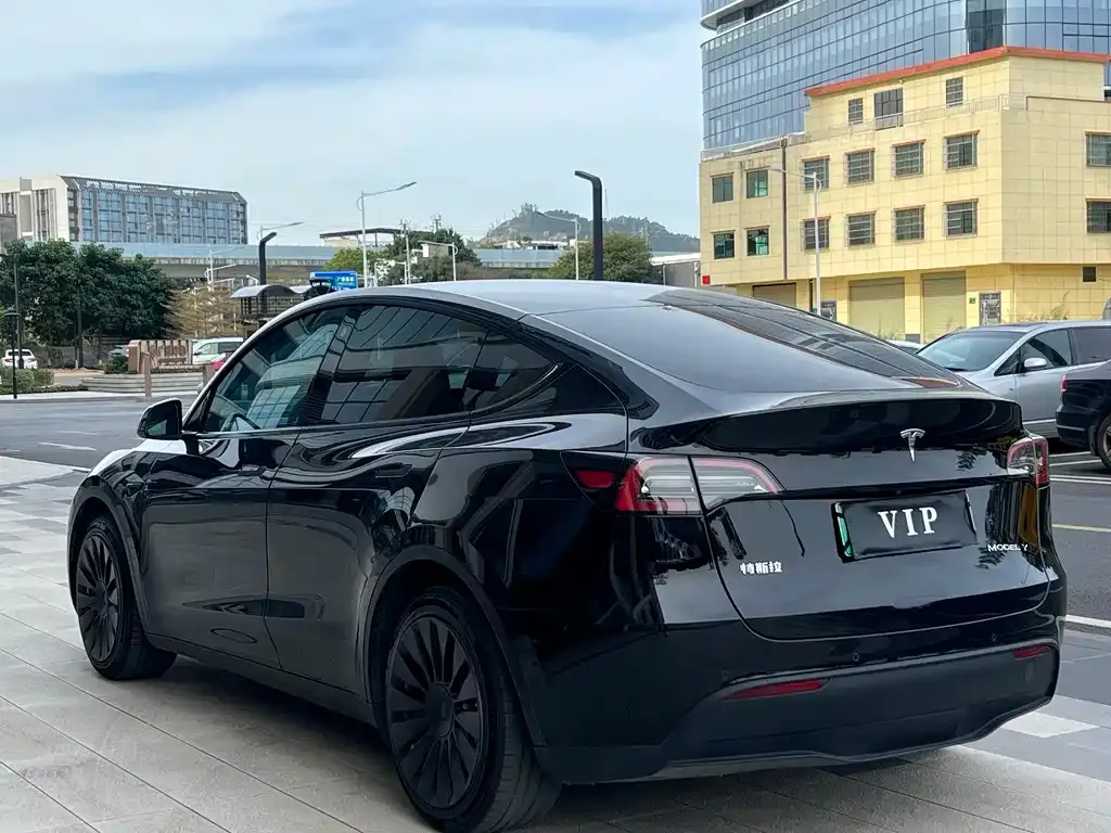 Tesla Model Y — фото 8