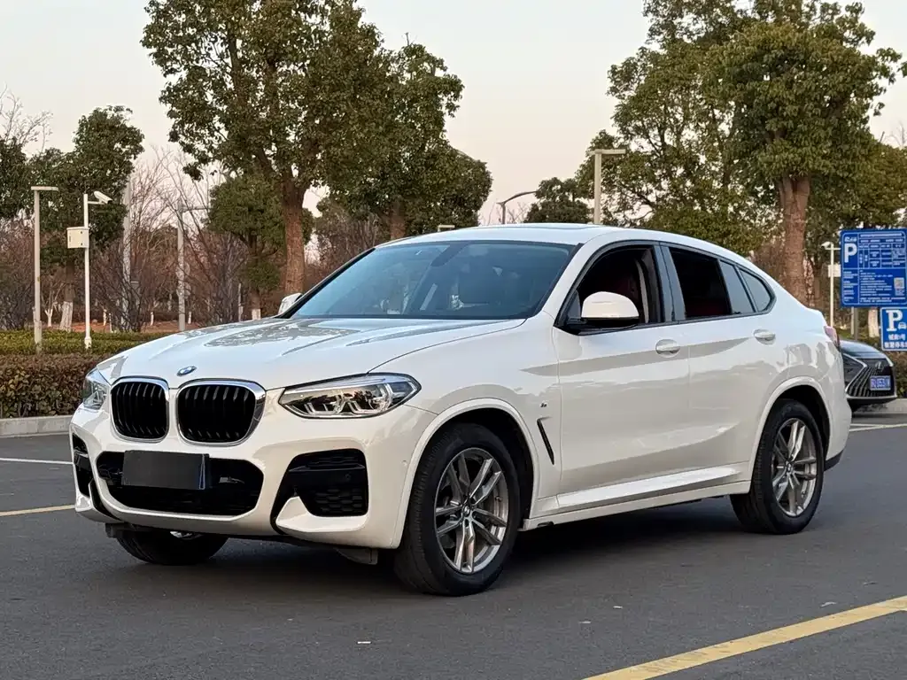BMW X4 2021 из CN, фото 1