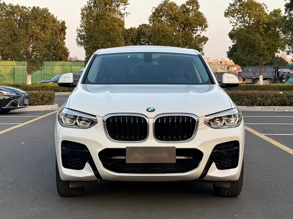 BMW X4 2021 из CN, фото 7