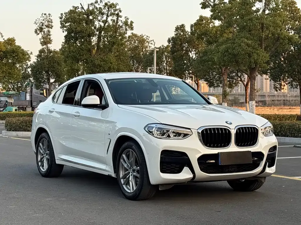 BMW X4 2021 из CN, фото 8
