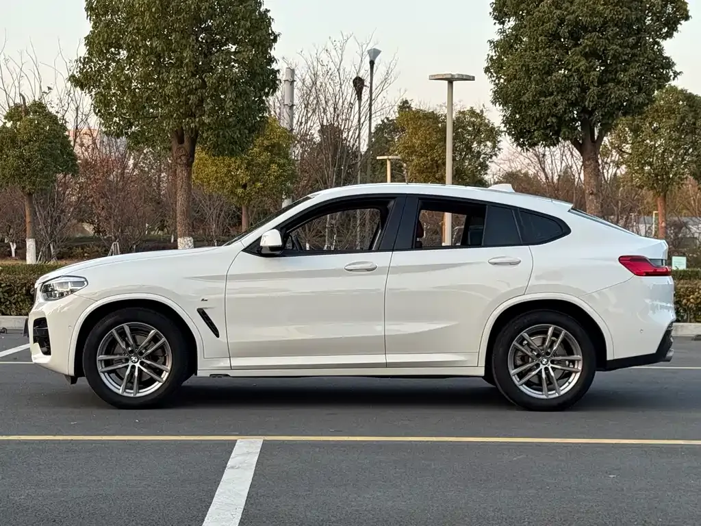BMW X4 2021 из CN, фото 10