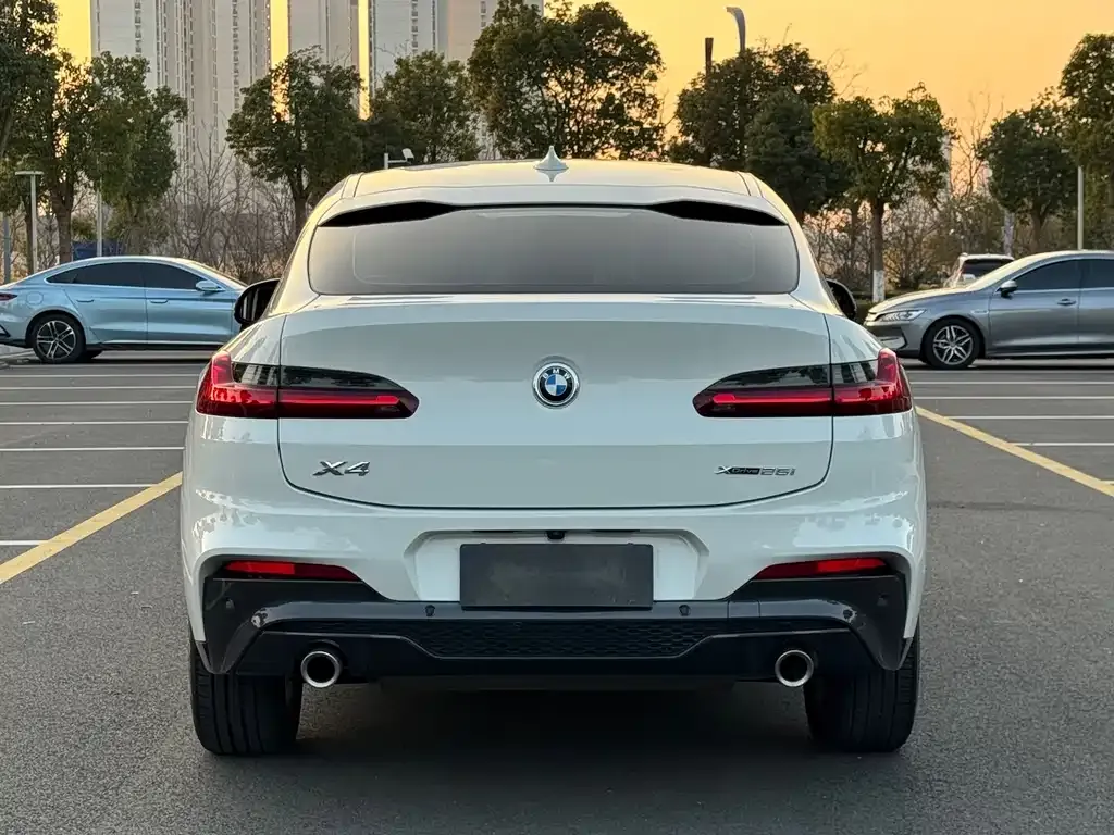BMW X4 2021 из CN, фото 9