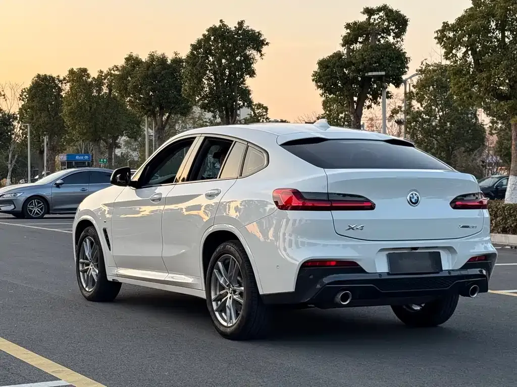 BMW X4 2021 из CN, фото 6