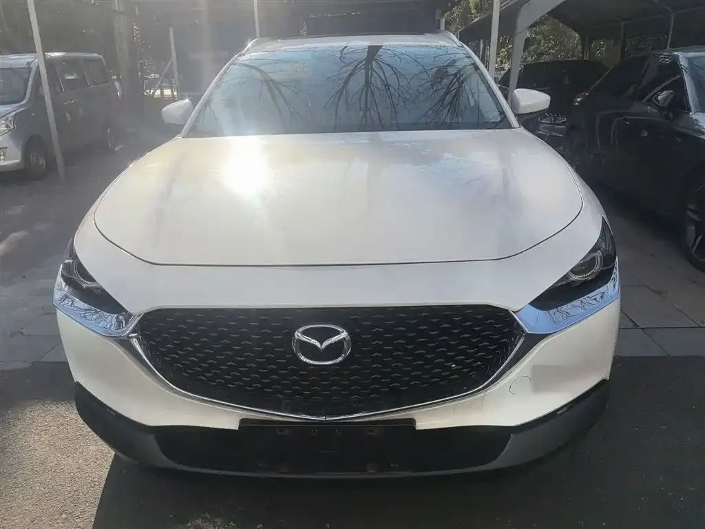 Mazda CX-30 2021 из CN, фото 9