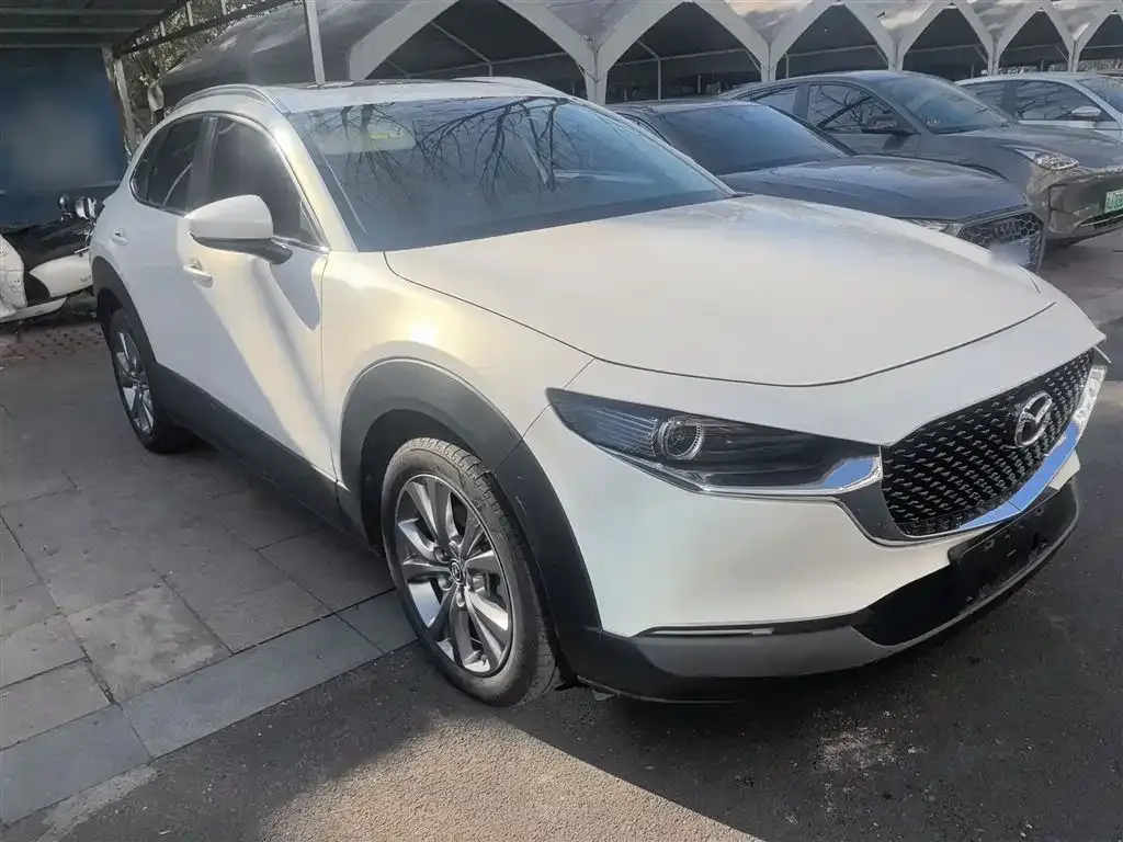 Mazda CX-30 2021 из CN, фото 8
