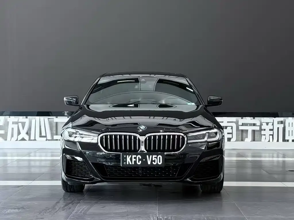 BMW 5 Series 2021 из CN, фото 3