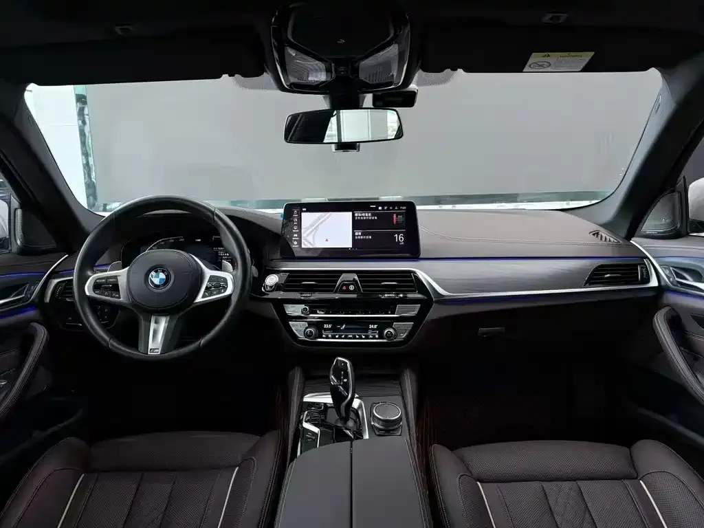BMW 5 Series 2021 из CN, фото 7