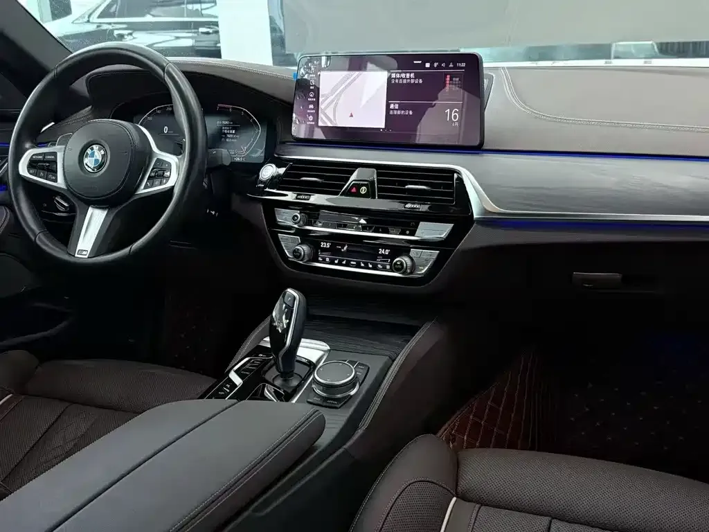 BMW 5 Series 2021 из CN, фото 8