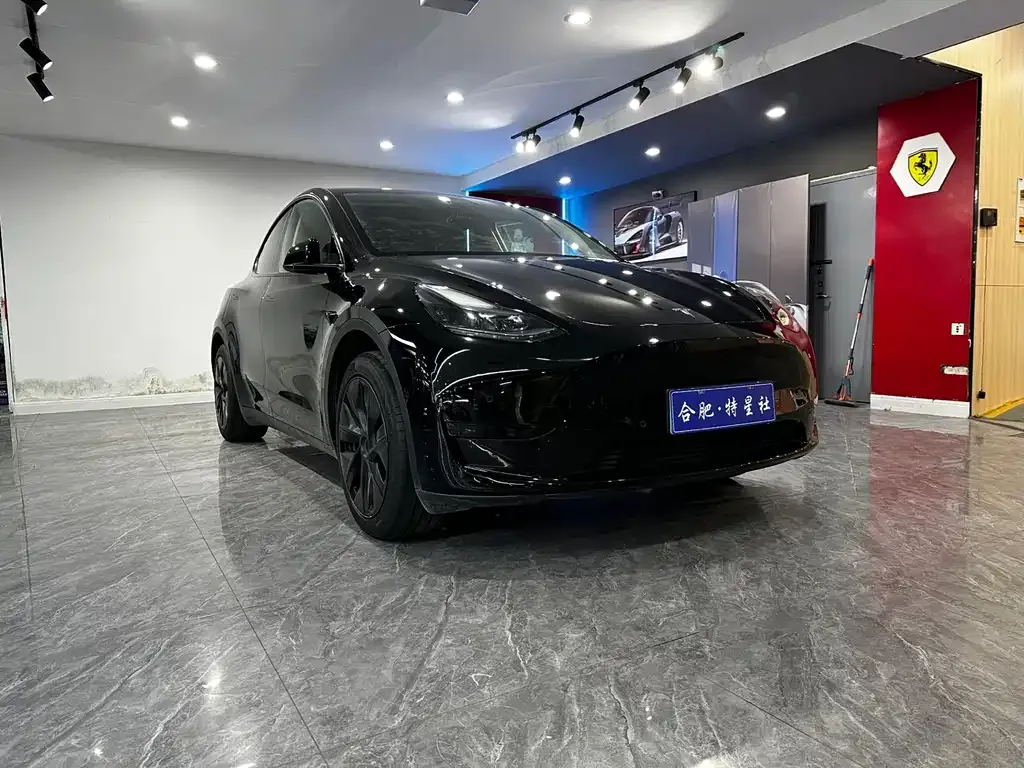 Tesla Model Y 2023 из CN, фото 1