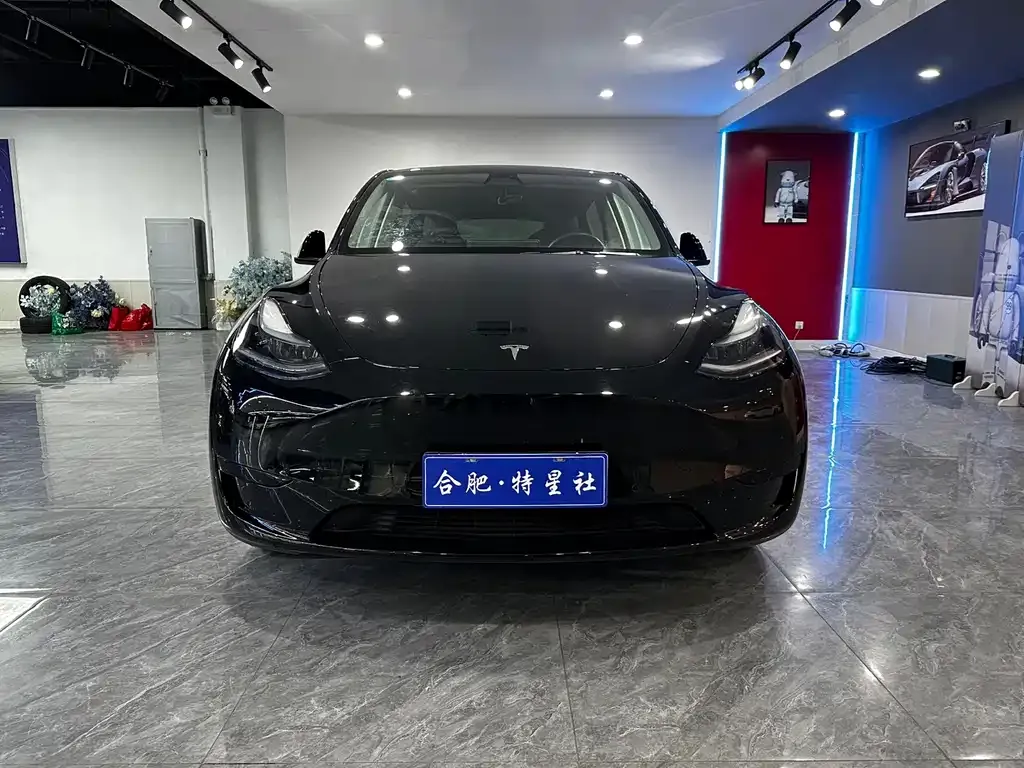 Tesla Model Y 2023 из CN, фото 2