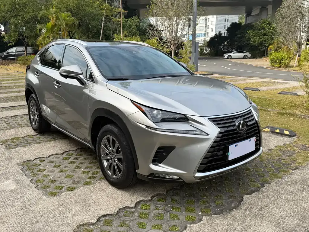 Lexus NX 2021 из CN, фото 1