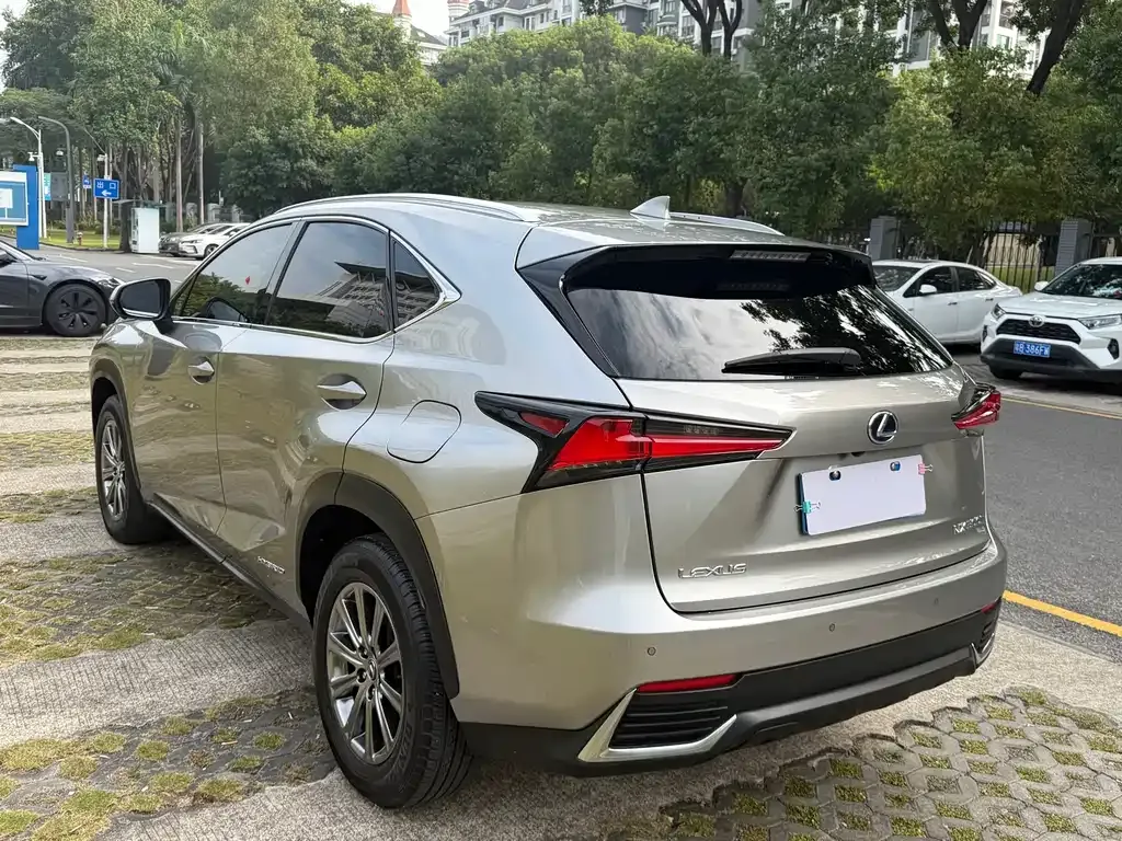 Lexus NX 2021 из CN, фото 9
