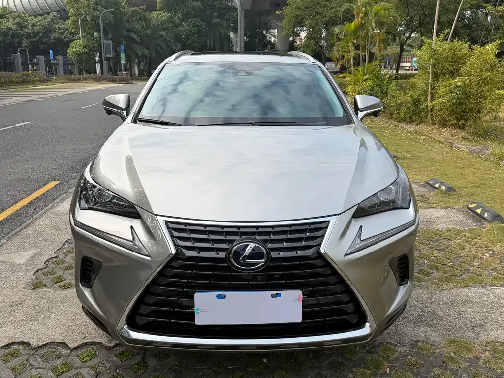 Lexus NX 2021 из CN, фото 8