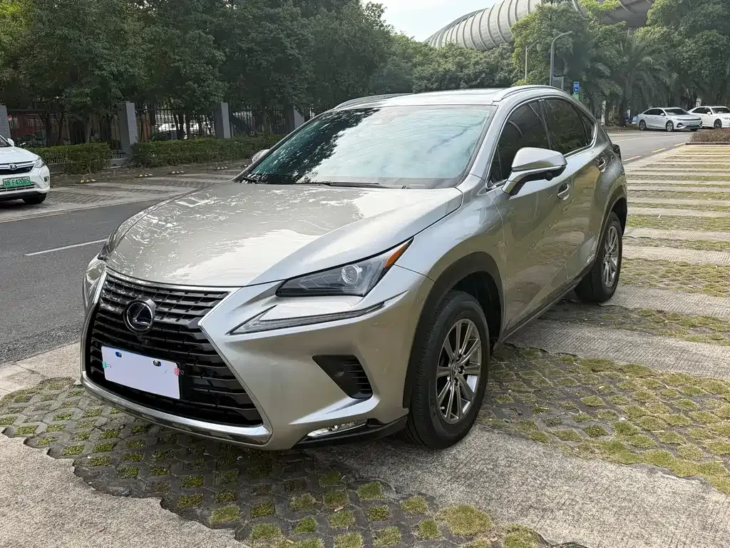Lexus NX 2021 из CN, фото 10