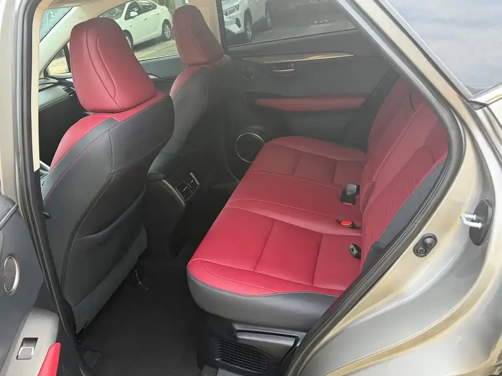 Lexus NX 2021 из CN, фото 4