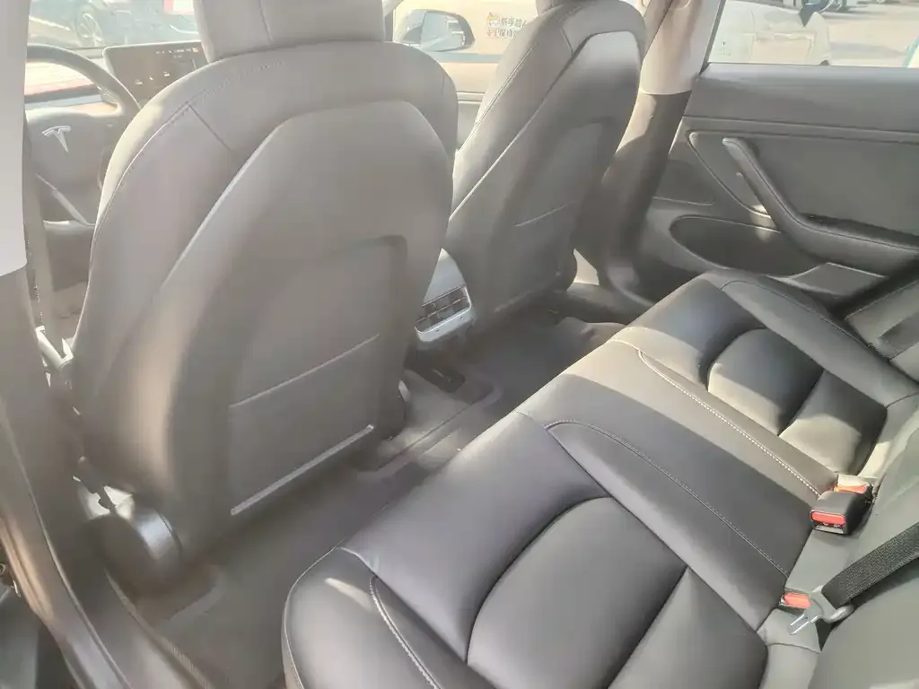 Tesla Model 3 2021 из CN, фото 2
